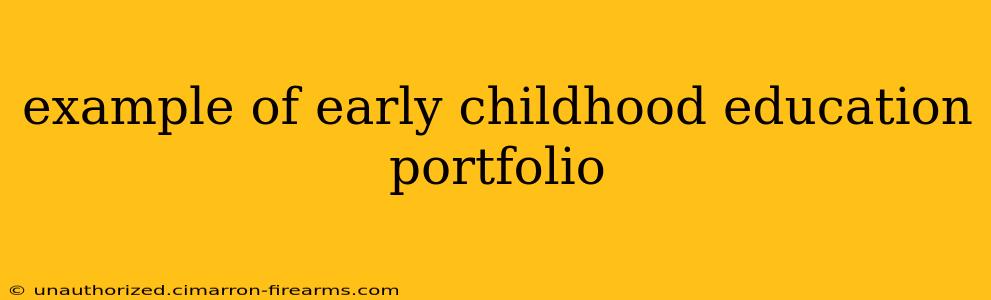 example of early childhood education portfolio