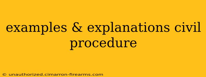 examples & explanations civil procedure