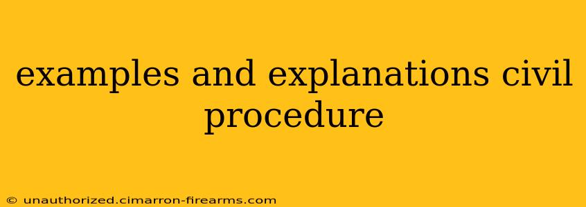 examples and explanations civil procedure