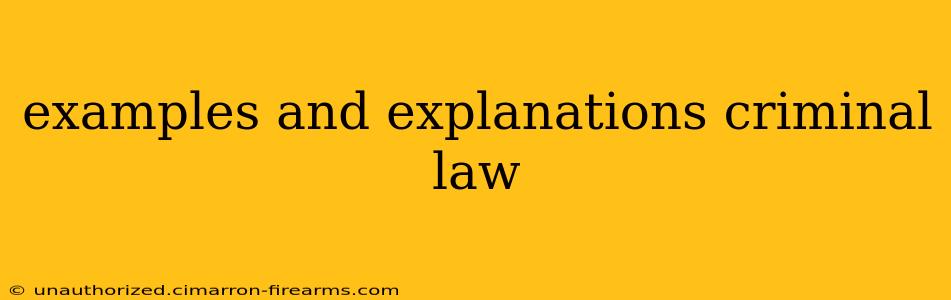 examples and explanations criminal law