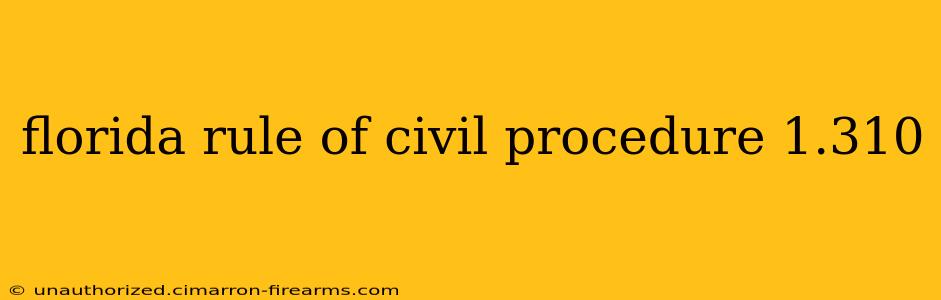 florida rule of civil procedure 1.310