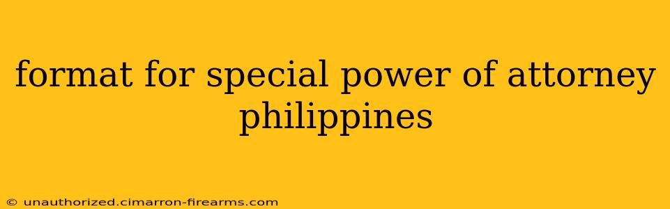 format for special power of attorney philippines