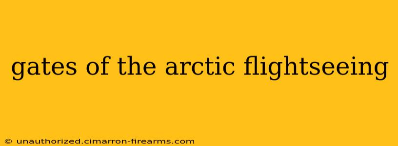 gates of the arctic flightseeing