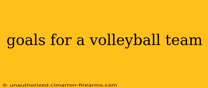 goals for a volleyball team