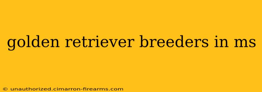 golden retriever breeders in ms