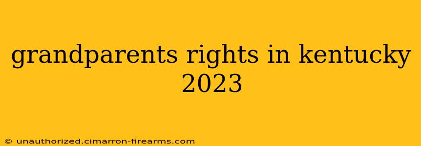 grandparents rights in kentucky 2023