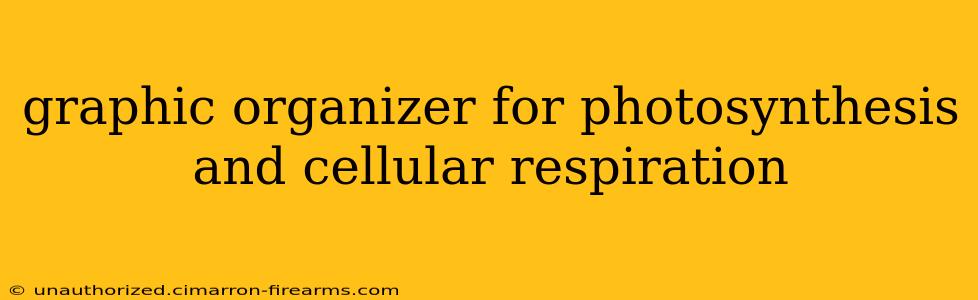 graphic organizer for photosynthesis and cellular respiration