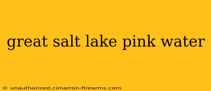 great salt lake pink water