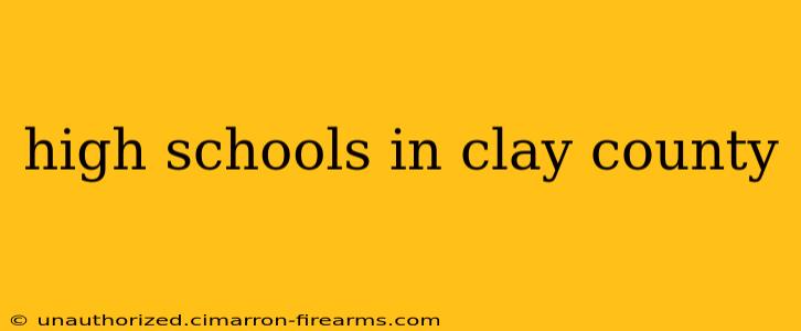 high schools in clay county