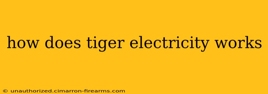 how does tiger electricity works