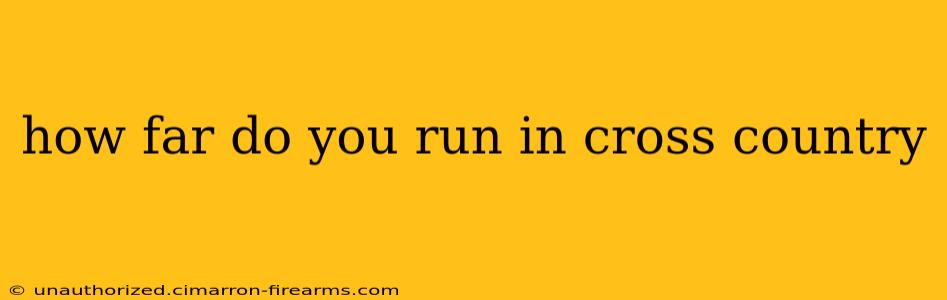 how far do you run in cross country