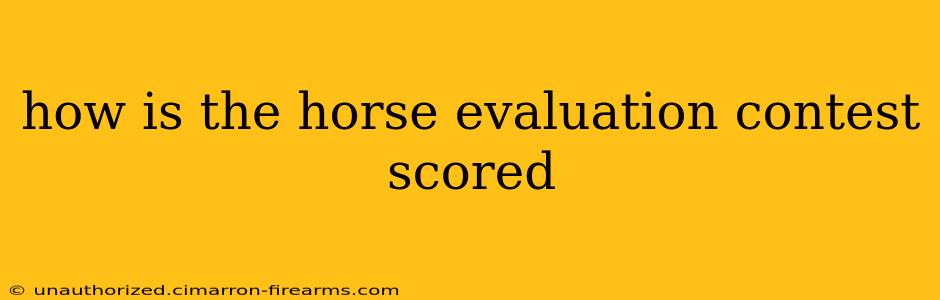 how is the horse evaluation contest scored