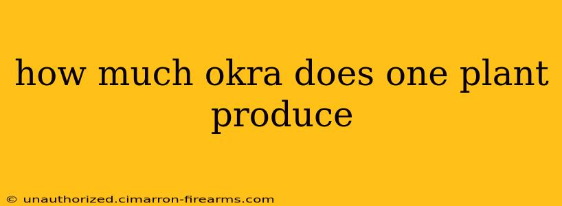 how much okra does one plant produce