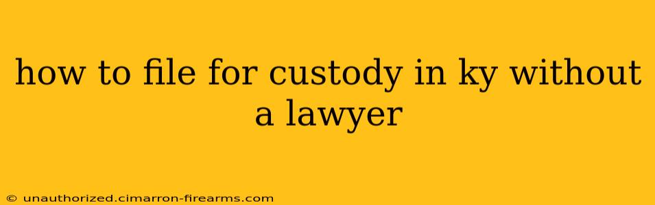 how to file for custody in ky without a lawyer