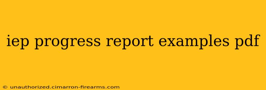 iep progress report examples pdf