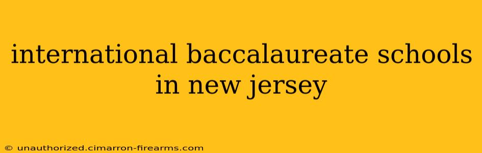 international baccalaureate schools in new jersey