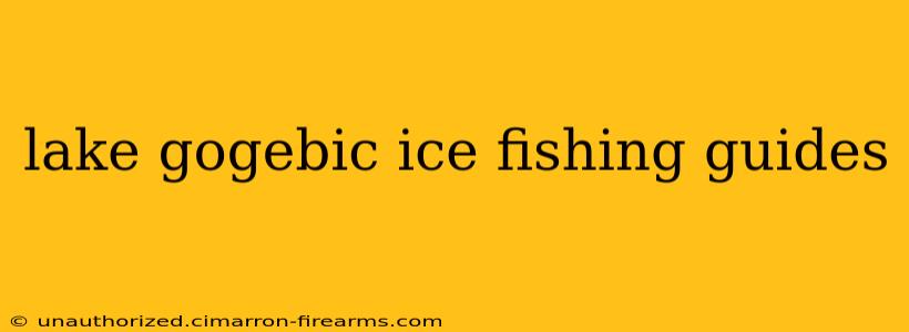 Lake Gogebic Ice Fishing Guides