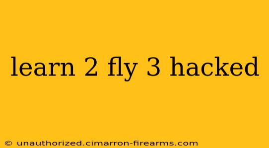 learn 2 fly 3 hacked