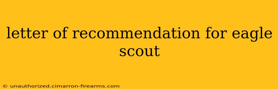 letter of recommendation for eagle scout