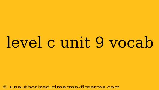 level c unit 9 vocab