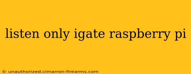 listen only igate raspberry pi