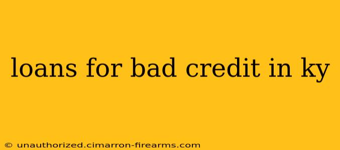 loans for bad credit in ky