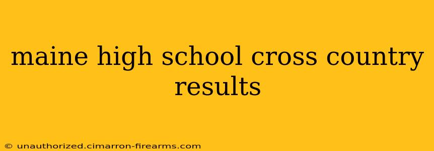 maine high school cross country results