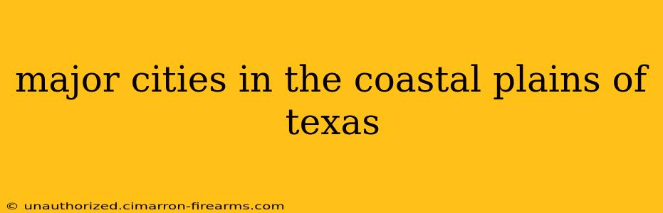 major cities in the coastal plains of texas