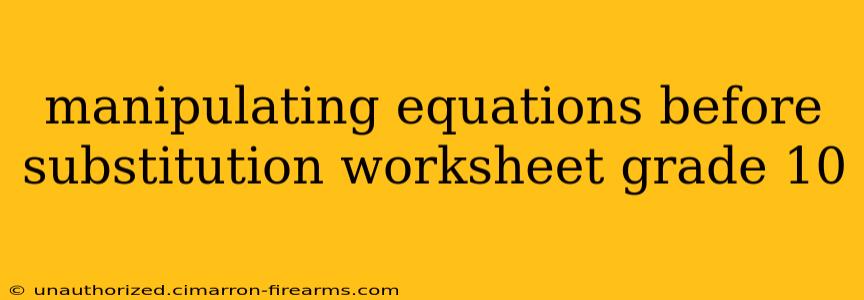 manipulating equations before substitution worksheet grade 10