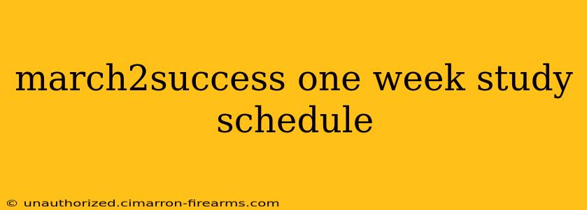 march2success one week study schedule