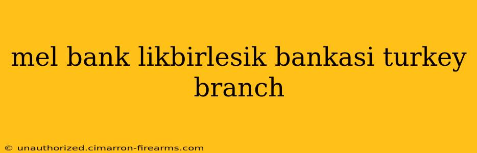 mel bank likbirlesik bankasi turkey branch