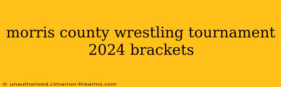 morris county wrestling tournament 2024 brackets