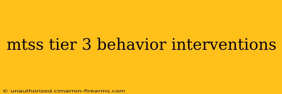 mtss tier 3 behavior interventions