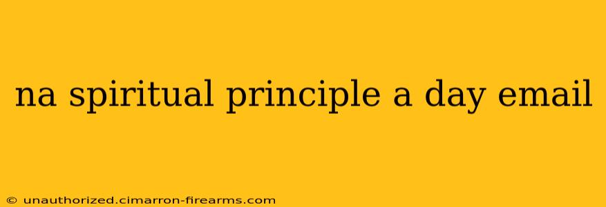 na spiritual principle a day email