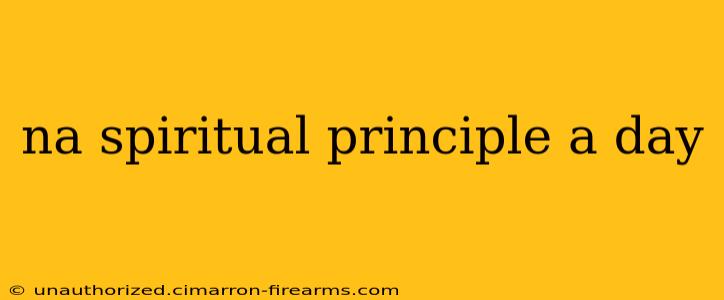 na spiritual principle a day