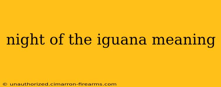 night of the iguana meaning