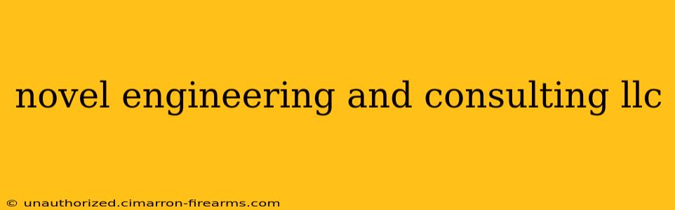 novel engineering and consulting llc