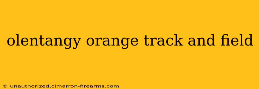 olentangy orange track and field