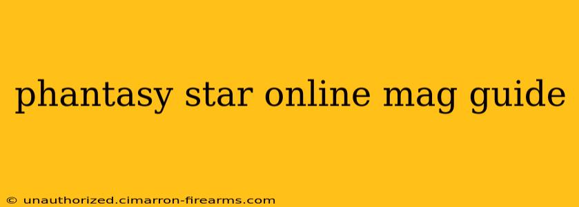 phantasy star online mag guide