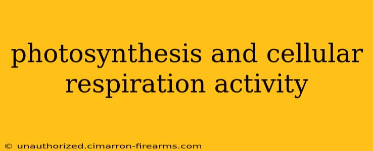 photosynthesis and cellular respiration activity