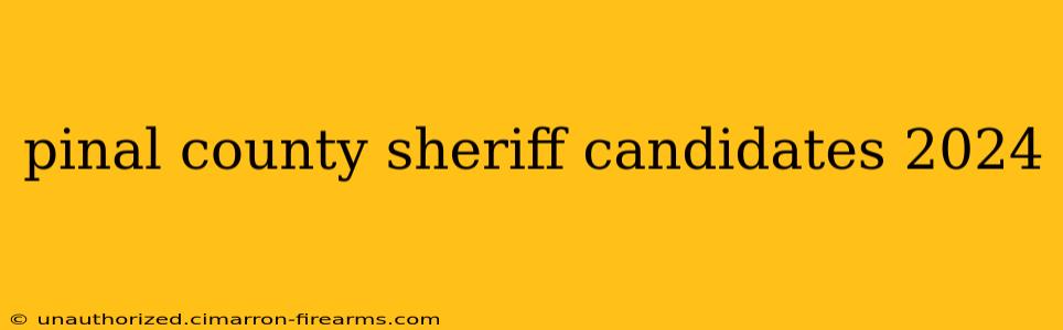 pinal county sheriff candidates 2024