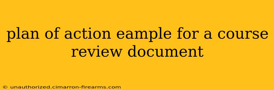 plan of action eample for a course review document