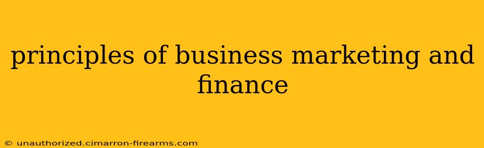 principles of business marketing and finance