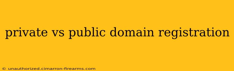 private vs public domain registration