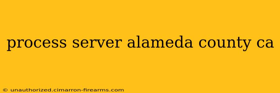 process server alameda county ca