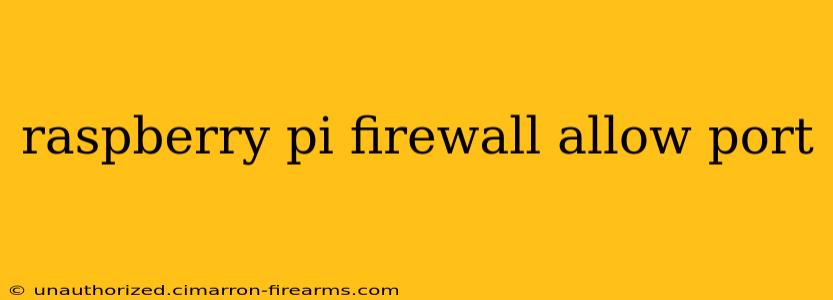 raspberry pi firewall allow port