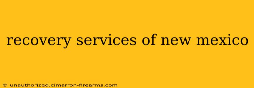 recovery services of new mexico