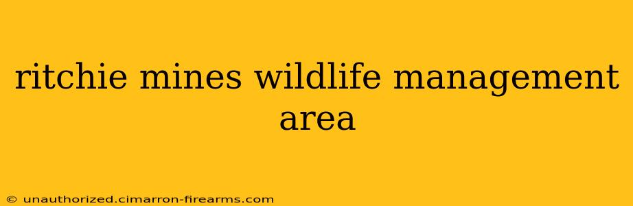 ritchie mines wildlife management area