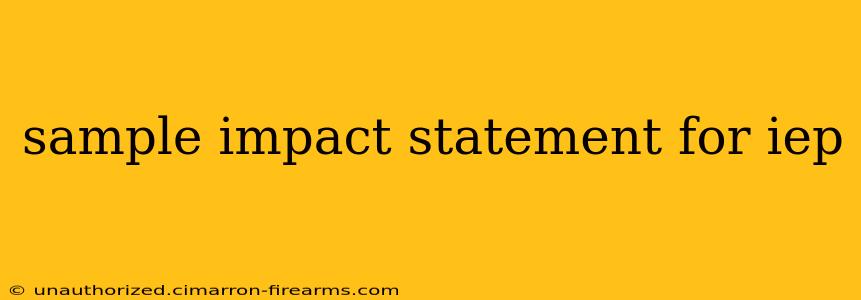 sample impact statement for iep