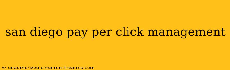 san diego pay per click management